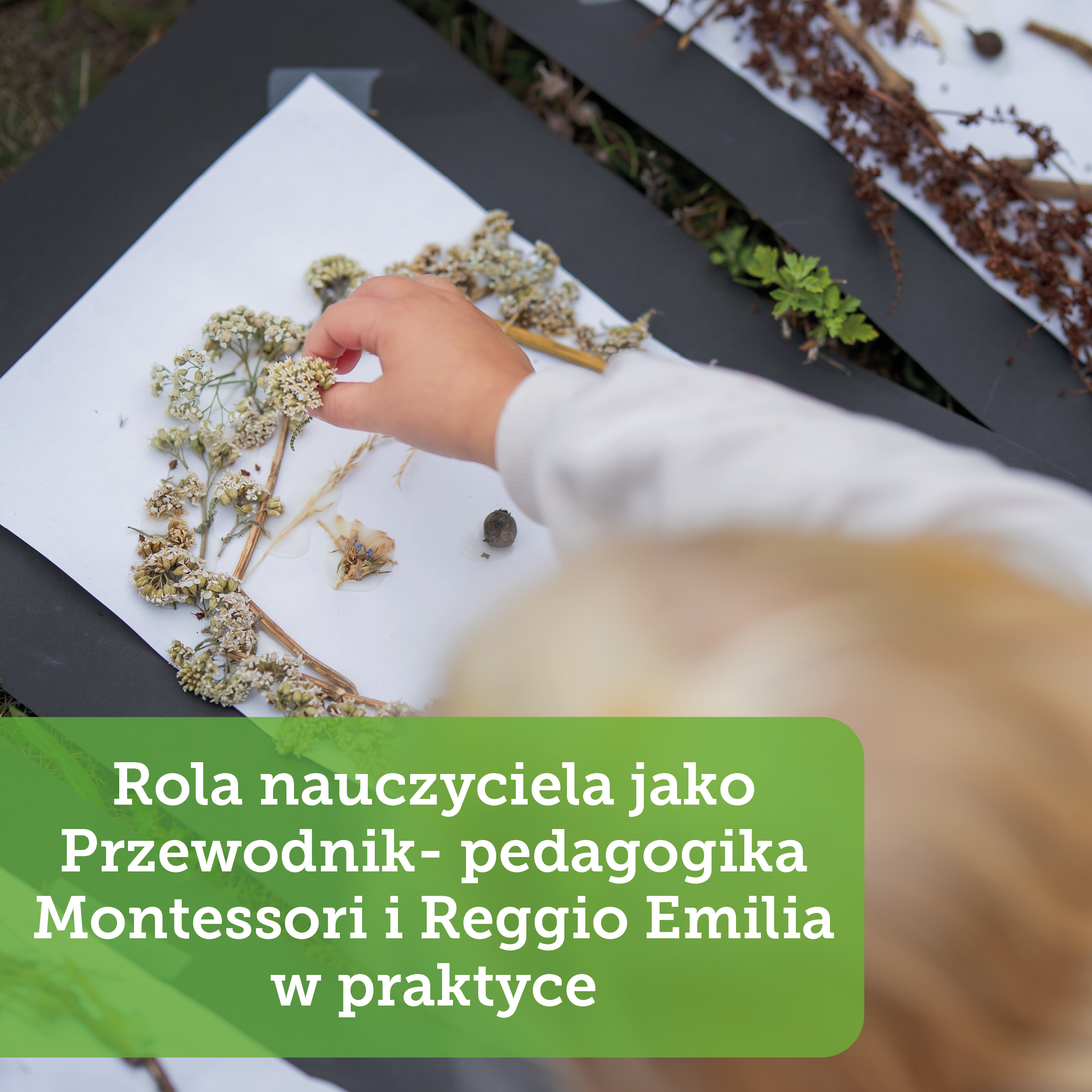 Rola nauczyciela jako Przewodnika - pedagogika Montessori i Reggio Emilia w praktyce