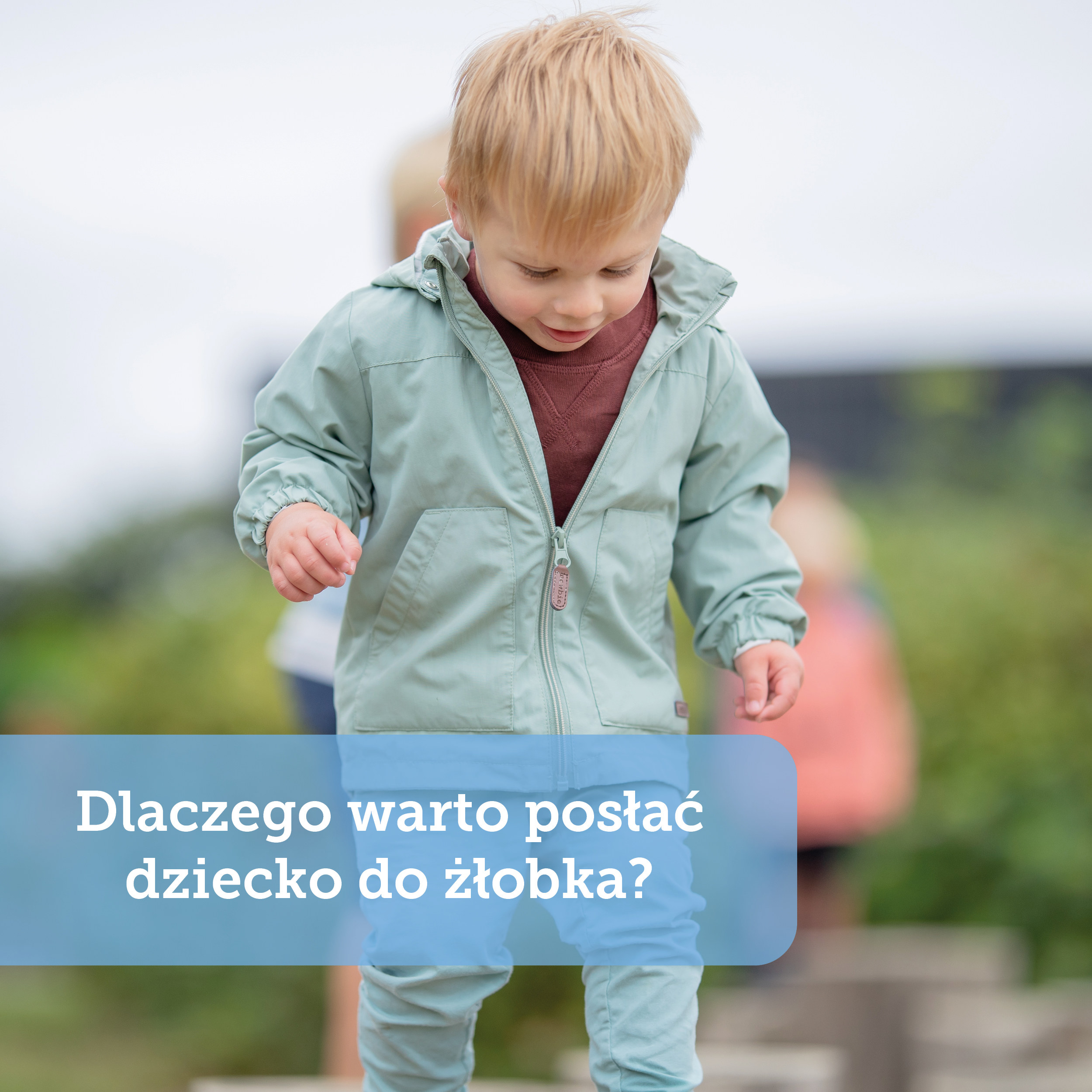 Dlaczego warto posłać dziecko do żłobka?